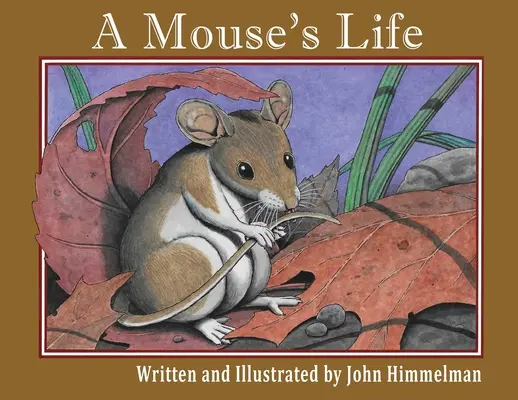 La vie d'une souris - A Mouse's Life