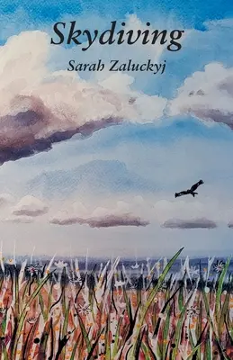 Le saut en parachute - Skydiving