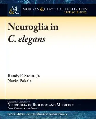 La neuroglie chez C. elegans - Neuroglia in C. elegans