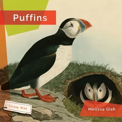 Macareux - Puffins