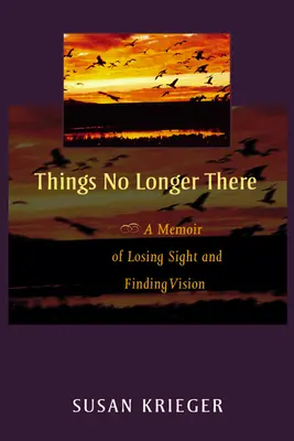 Les choses ne sont plus là : Mémoires d'une perte de vue et d'une nouvelle vision - Things No Longer There: A Memoir of Losing Sight and Finding Vision