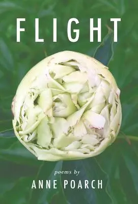 L'envol : des papillons, des rouges-gorges et autres rêves ailés - Flight: of butterflies and robins and other winged dreams