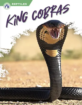 Le roi cobra - King Cobras