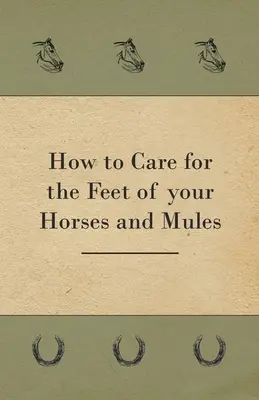 Comment soigner les pieds des chevaux et des mules - How to Care for the Feet of your Horses and Mules