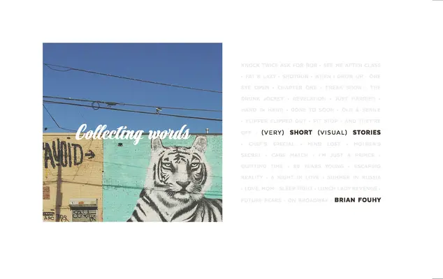 Collectionner les mots : Histoires courtes et visuelles - Collecting Words: Short Visual Stories