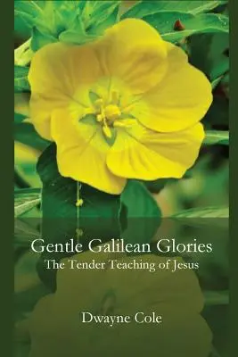 Douces gloires galiléennes : Les tendres enseignements de Jésus - Gentle Galilean Glories: The Tender Teachings of Jesus