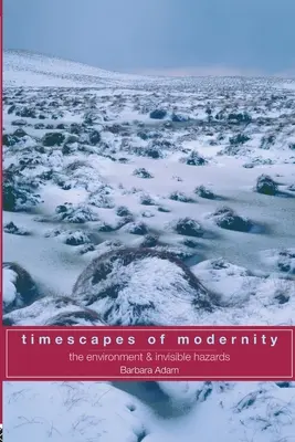 Les paysages temporels de la modernité : L'environnement et les risques invisibles - Timescapes of Modernity: The Environment and Invisible Hazards