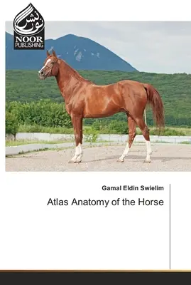 L'anatomie du cheval dans l'Atlas - Atlas Anatomy of the Horse