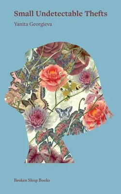 Petits vols indétectables - Small Undetectable Thefts