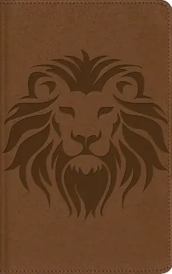 Nbla, Biblia Visual de Estudio Para Nios, Leathersoft, Len Caf : Explora La Biblia : Personnages, Lieux et Histoire - Nbla, Biblia Visual de Estudio Para Nios, Leathersoft, Len Caf: Explora La Biblia: Personajes, Lugares E Historia