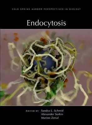 Endocytose - Endocytosis