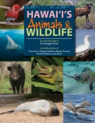 Les animaux et la faune d'Hawaï - Hawaii's Animals and Wildlife