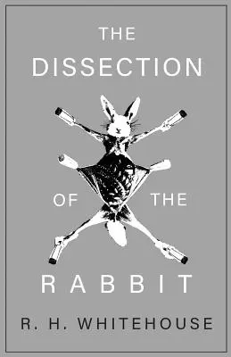 La dissection du lapin - The Dissection of the Rabbit
