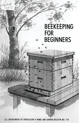 L'apiculture pour les débutants - Beekeeping for Beginners