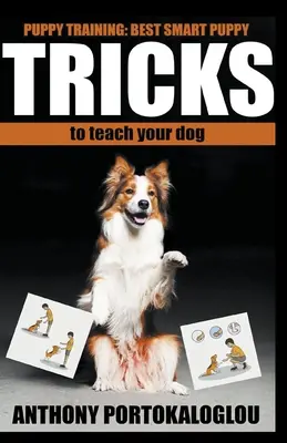 Dog Tricks : Les meilleurs tours à apprendre à votre chien en un temps record - Dog Tricks: Best Smart Dog Tricks to Teach Your Dog in Record Time