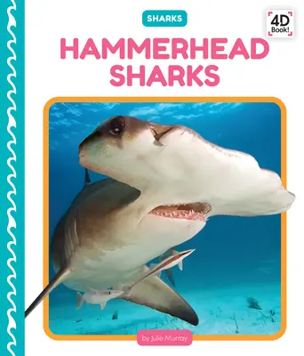 Requin marteau - Hammerhead Sharks