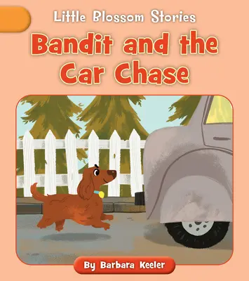 Bandit et la poursuite en voiture - Bandit and the Car Chase