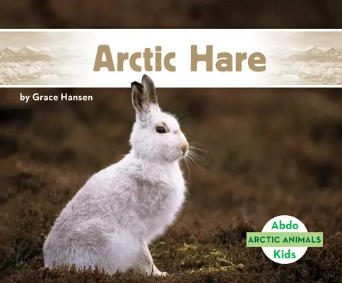 Lièvre arctique - Arctic Hare