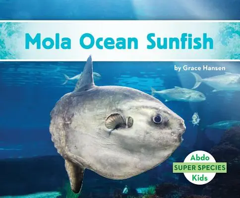 Poisson-lune Mola - Mola Ocean Sunfish