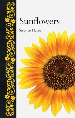 Tournesols - Sunflowers