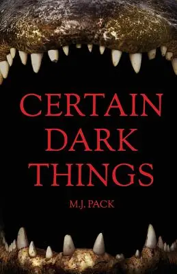 Certaines choses sombres : Histoires - Certain Dark Things: Stories