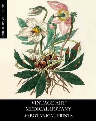 Art Vintage : Botanique Médicale : 40 tirages botaniques - Vintage Art: Medical Botany 40 Botanical Prints