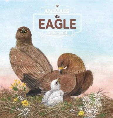 L'aigle. Les animaux dans la nature - The Eagle. Animals in the Wild