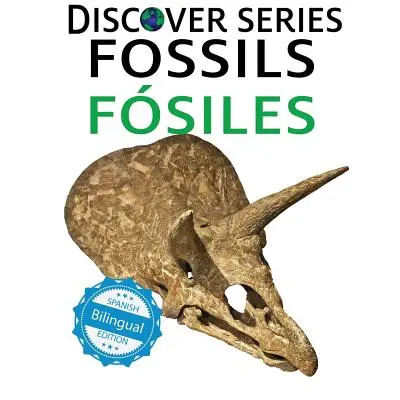 Fossiles / Fosiles - Fossils / Fosiles