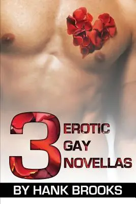 3 romans érotiques gays - 3 Erotic Gay Novellas