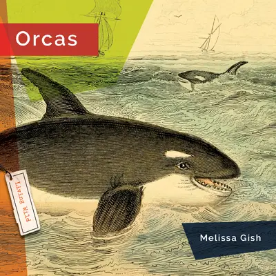 Orques - Orcas