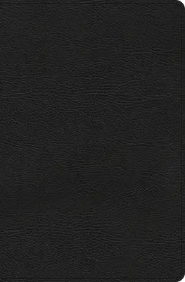 CSB Everyday Study Bible, cuir bondé noir - CSB Everyday Study Bible, Black Bonded Leather