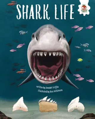 La vie des requins - Shark Life