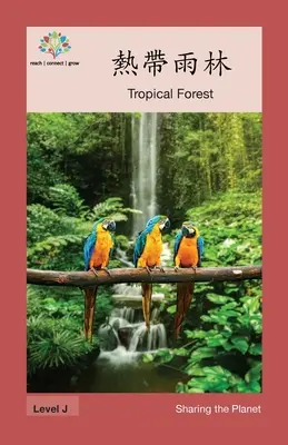 熱帶雨林 : Forêt tropicale - 熱帶雨林: Tropical Forest