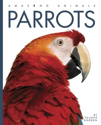 Perroquets - Parrots