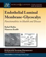 Membrane luminale endothéliale-Glycocalyx : Fonctionnalités dans la santé et la maladie - Endothelial Luminal Membrane-Glycocalyx: Functionalities in Health and Disease