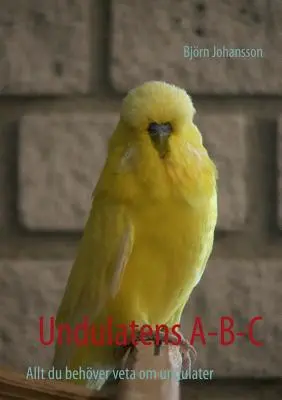 Undulatens A-B-C : Tout ce que vous devez savoir sur les ondulateurs - Undulatens A-B-C: Allt du behver veta om undulater