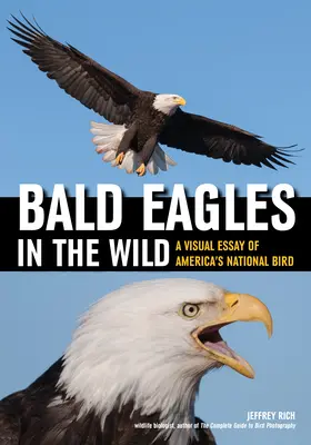 Bald Eagles in the Wild : A Visual Essay of America's National Bird (Le pygargue à tête blanche dans la nature : un essai visuel sur l'oiseau national de l'Amérique) - Bald Eagles in the Wild: A Visual Essay of America's National Bird