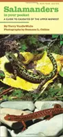 Salamandres en poche : Un guide des caudés du Haut-Midwest - Salamanders in Your Pocket: A Guide to Caudates of the Upper Midwest