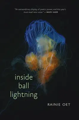 La foudre à l'intérieur de la boule - Inside Ball Lightning