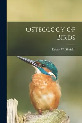 Ostéologie des oiseaux - Osteology of Birds