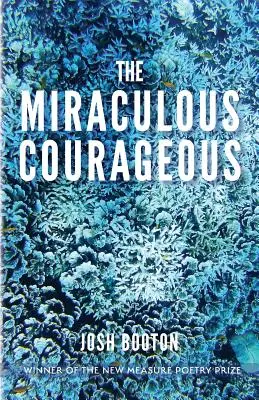 Le courage miraculeux - The Miraculous Courageous