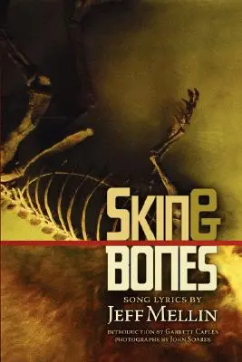 Skin & Bones : Paroles de chansons - Skin & Bones: Song Lyrics