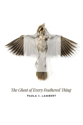 Le fantôme de chaque chose à plumes - The Ghost of Every Feathered Thing