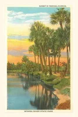 Journal d'époque Coucher de soleil en Floride tropicale, Myakka River State Park - Vintage Journal Sunset in Tropical Florida, Myakka River State Park