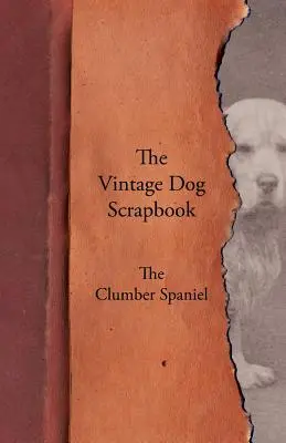 Le Livre d'or du chien - L'épagneul de Clumber - The Vintage Dog Scrapbook - The Clumber Spaniel