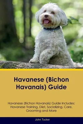 Guide du Havanais (Bichon Havanais) Le guide du Havanais comprend : Le dressage, l'alimentation, la socialisation, les soins, le toilettage et bien plus encore. - Havanese (Bichon Havanais) Guide Havanese Guide Includes: Havanese Training, Diet, Socializing, Care, Grooming, and More