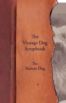 Vintage Dog Scrapbook - Le bichon maltais - The Vintage Dog Scrapbook - The Maltese