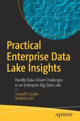 Practical Enterprise Data Lake Insights : Gérer les défis liés aux données dans un lac de données d'entreprise (Big Data Lake) - Practical Enterprise Data Lake Insights: Handle Data-Driven Challenges in an Enterprise Big Data Lake