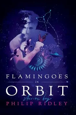 Flamants en orbite - Flamingoes in Orbit