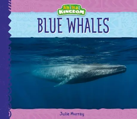 Baleines bleues - Blue Whales